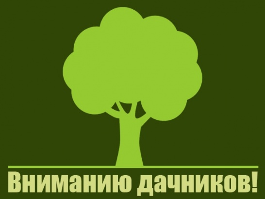 Совет Федерации одобрил изменения в ФЗ «О ведении гражданами садоводства и огородничества для собственных нужд»